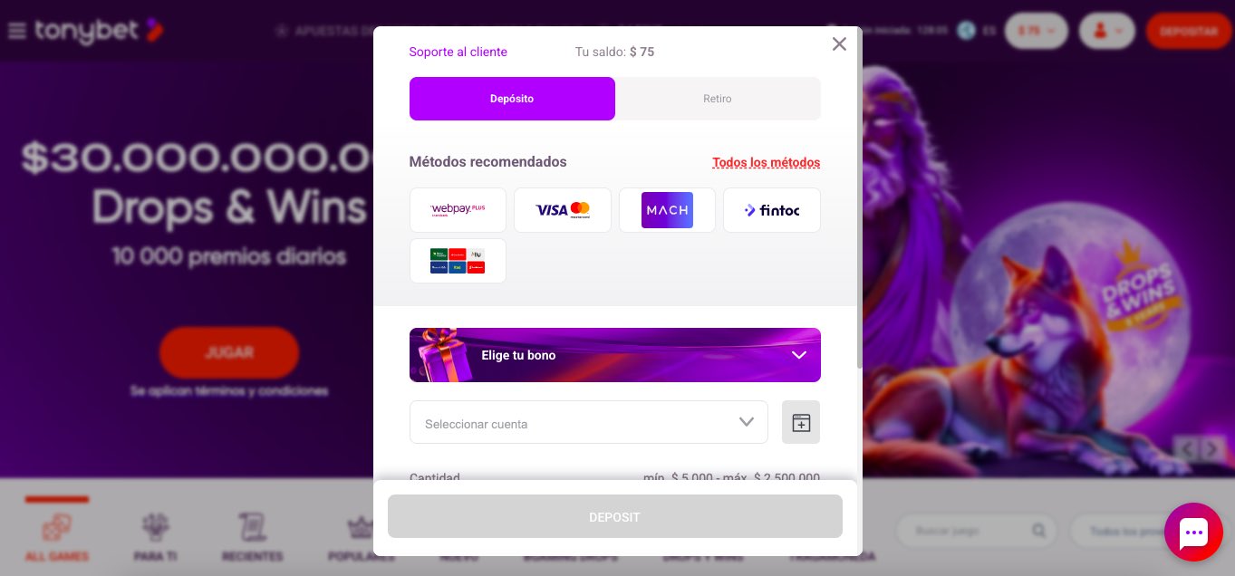 WebPay depósito 2